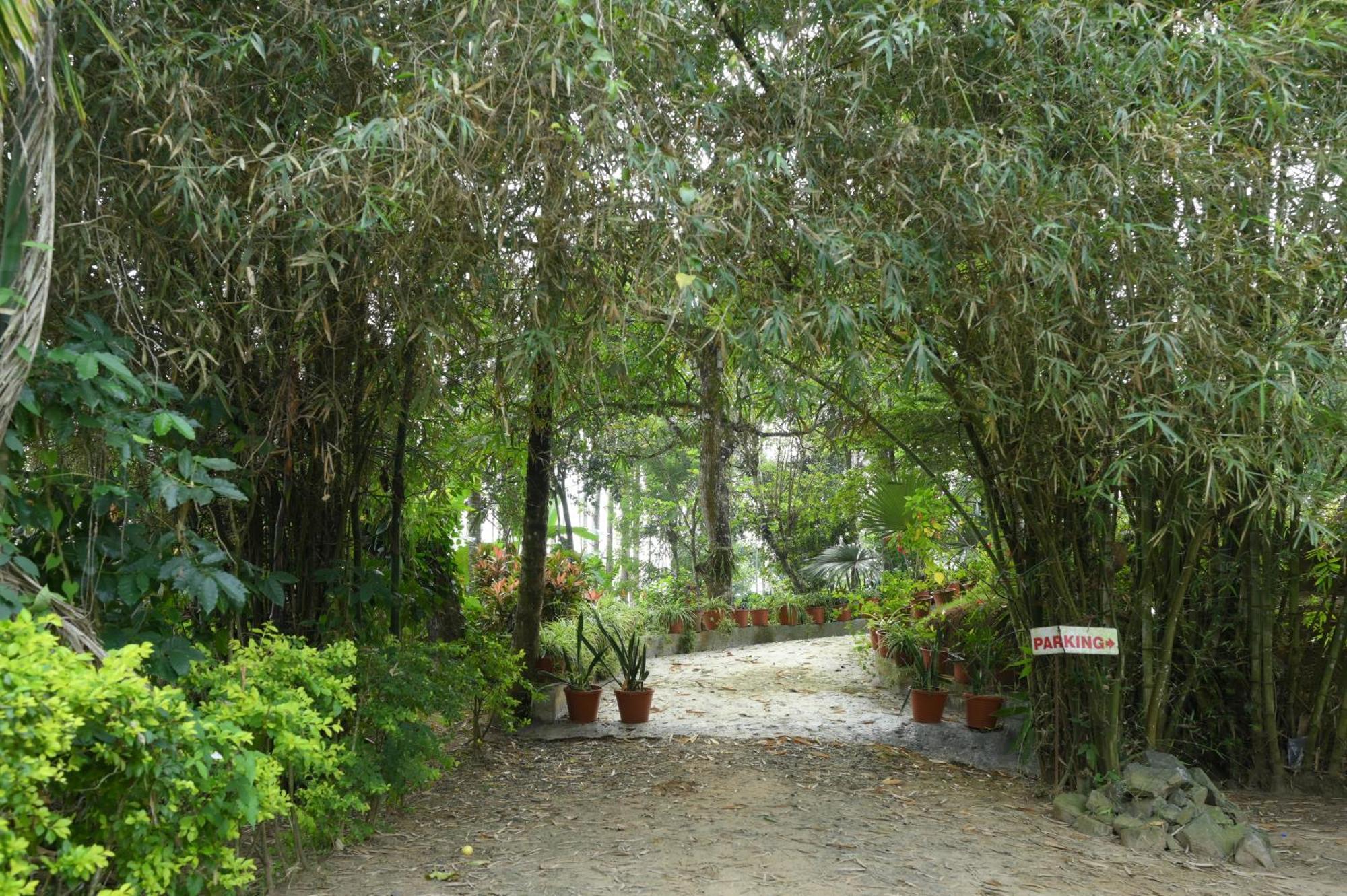 Coffee Island Resort Kaniyambetta Exterior photo