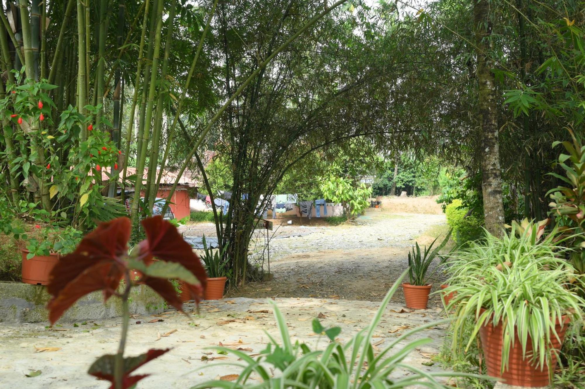 Coffee Island Resort Kaniyambetta Exterior photo